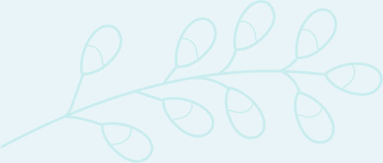 leafs