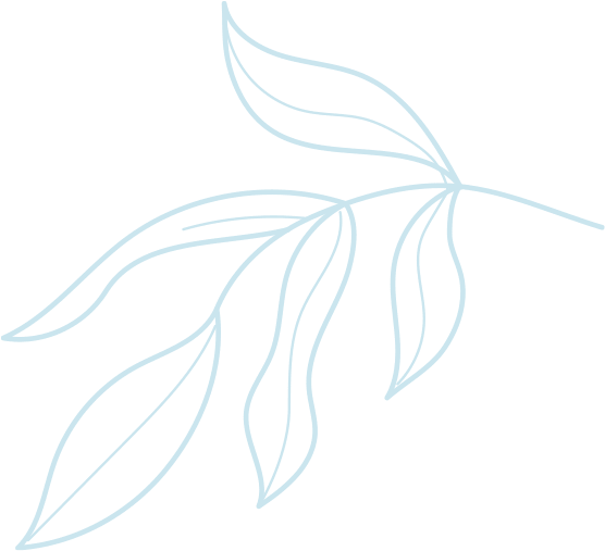 leaf image